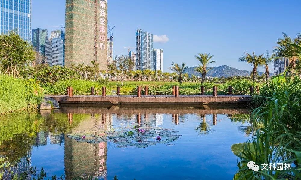 《文科园林》广州长隆总部大楼 | 花园式办公典范