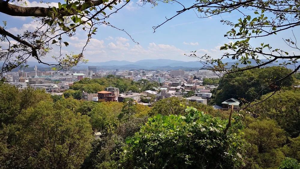 《文科园林》广州长隆总部大楼 | 花园式办公典范