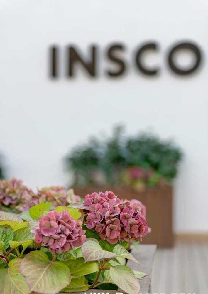 摩登时代 | Insco 咖啡室内设计，郑鸿的黑白工业风