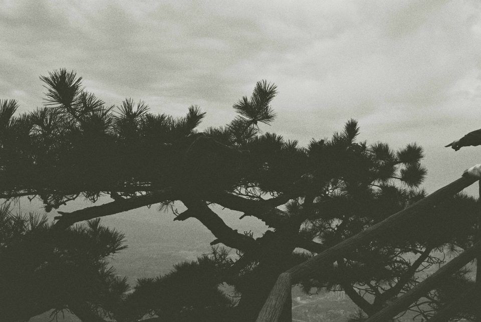 王浏洋打造的山水人文空间