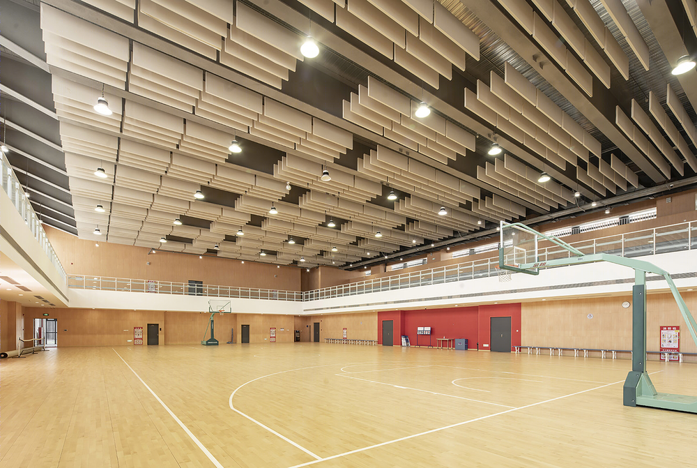 深圳光明新区凤凰学校 | 绿色生态校园，打造多元学习空间