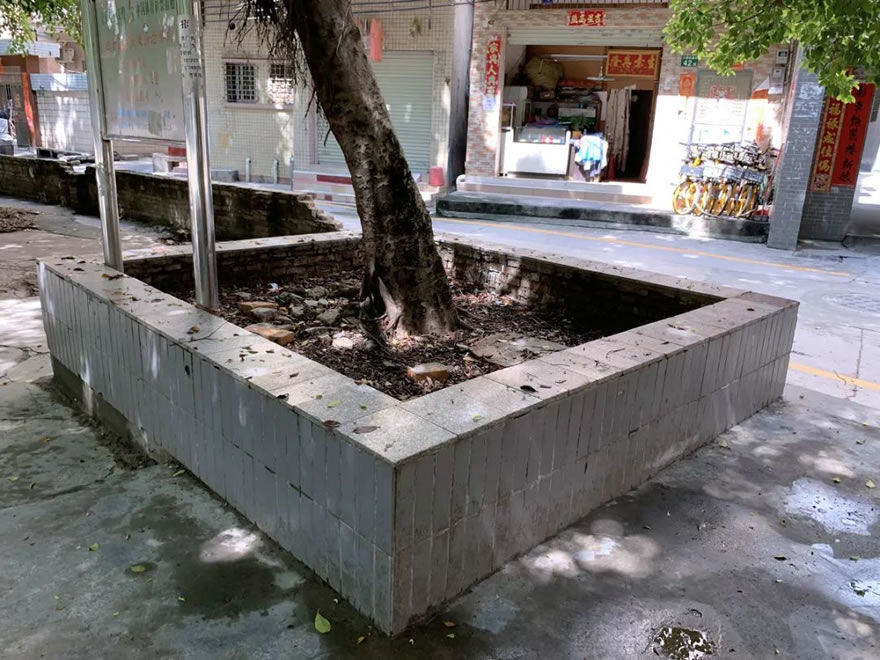 广州大朗党群文化广场 | 榕树下的活力社区