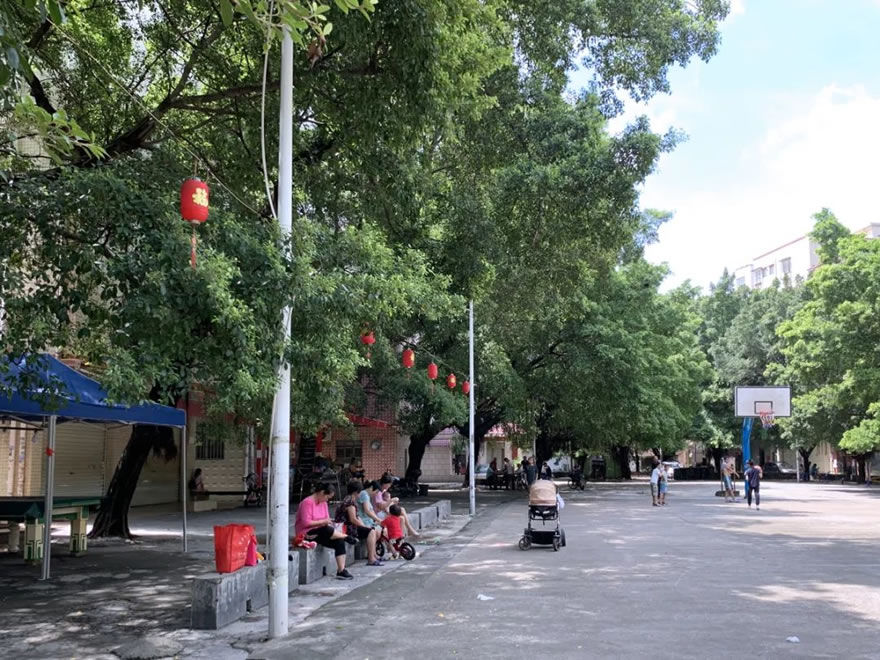 广州大朗党群文化广场 | 榕树下的活力社区