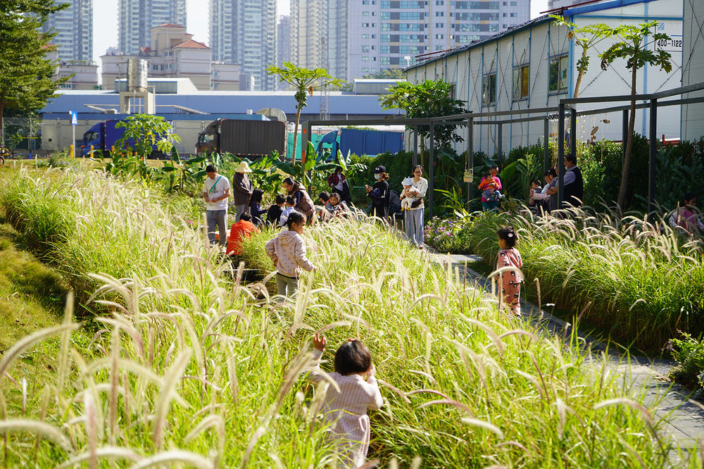 深圳笋岗火车花园 | 唤醒自然记忆的生态家园