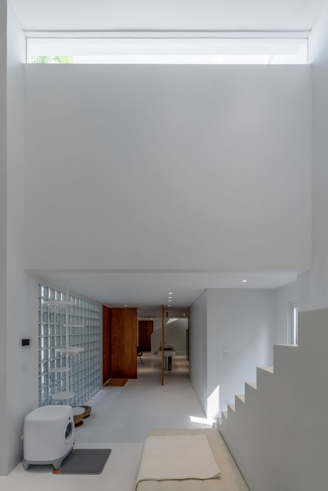 泰国别墅设计，House Between the Wall