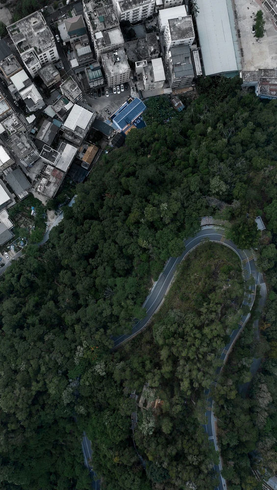 梧桐山院 | 传统与现代共生的建筑新生