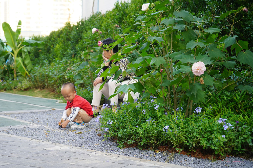 深圳笋岗火车花园 | 唤醒自然记忆的生态家园
