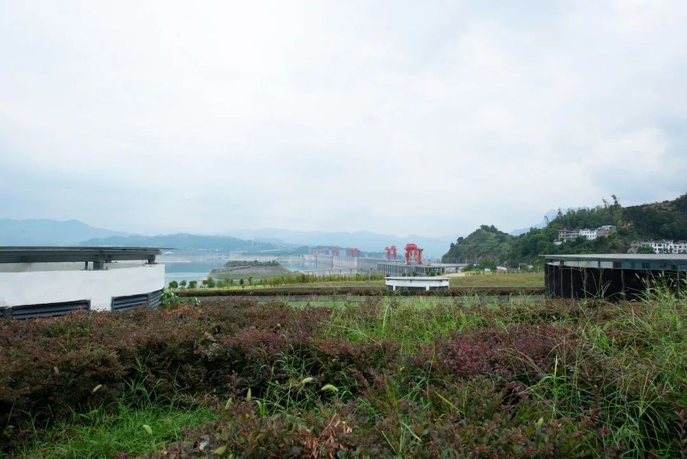 嵌入三峡的“第四峡”——长江三峡珍稀鱼类保育中心