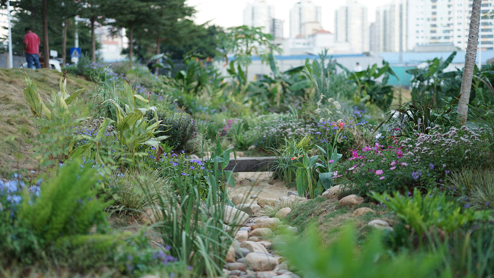 深圳笋岗火车花园 | 唤醒自然记忆的生态家园