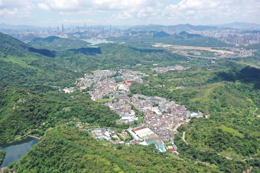 梧桐山院 | 传统与现代共生的建筑新生