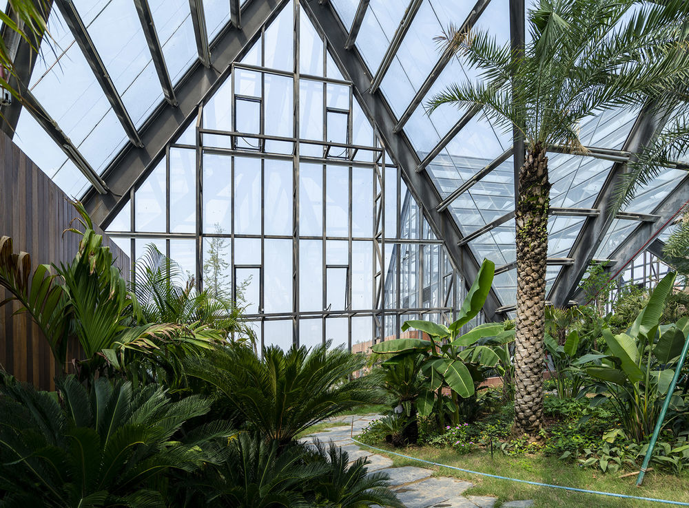 衡水植物园温室展览馆 | 融入自然的现代植物园