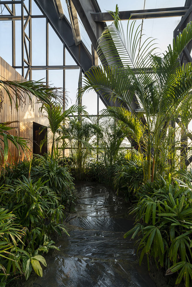 衡水植物园温室展览馆 | 融入自然的现代植物园