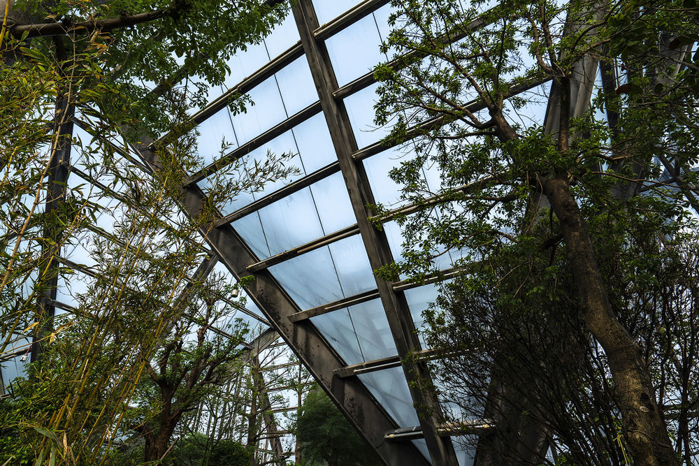衡水植物园温室展览馆 | 融入自然的现代植物园