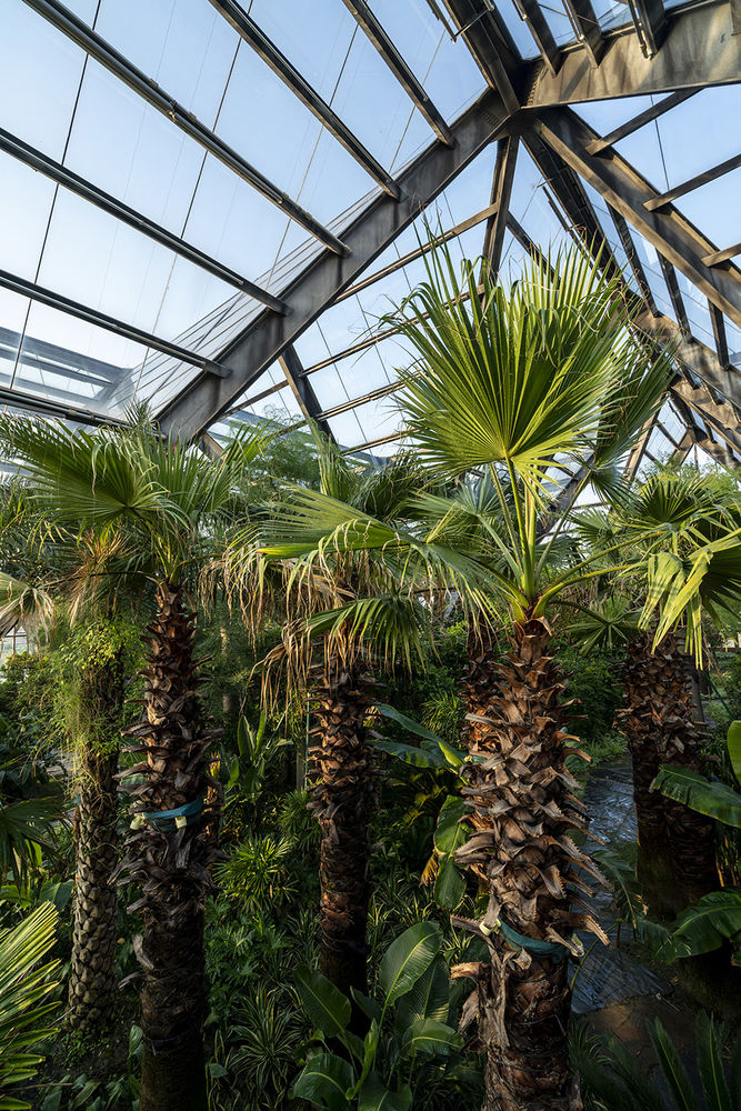 衡水植物园温室展览馆 | 融入自然的现代植物园