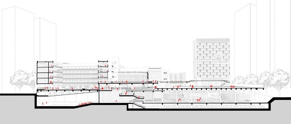 深圳南山麒麟中学改扩建工程 | 有机整体、空间拓展