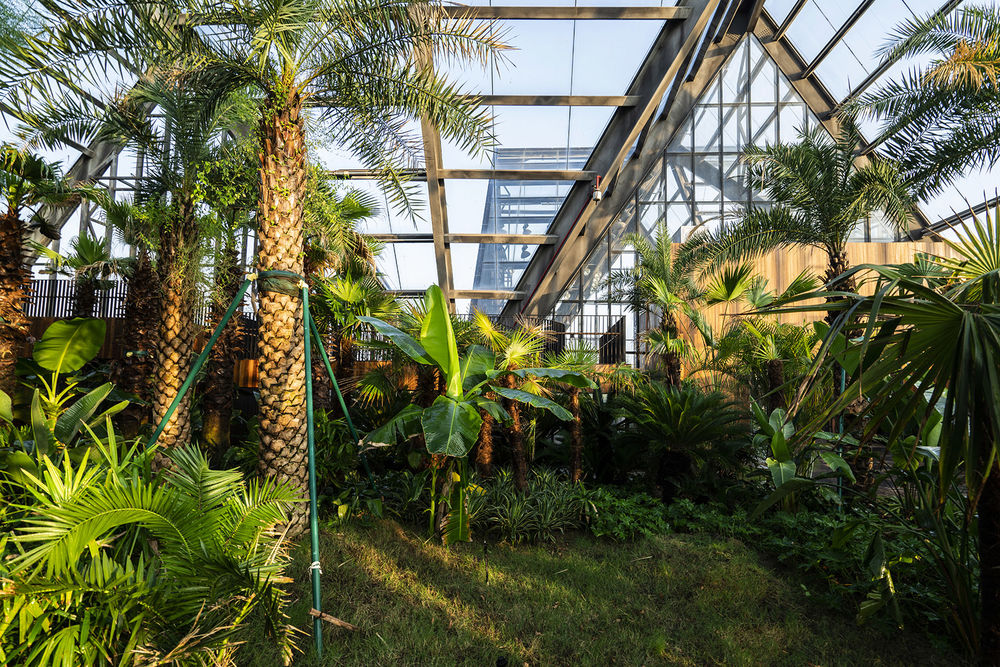 衡水植物园温室展览馆 | 融入自然的现代植物园