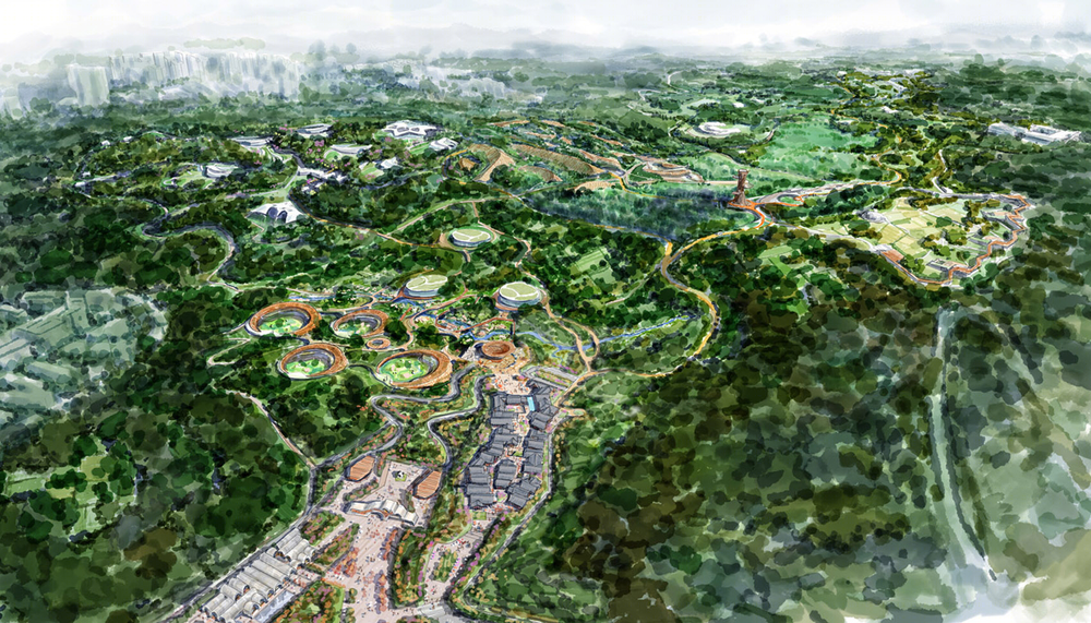 成都大熊猫繁育研究基地 | 人类与动物和谐共生的现代典范