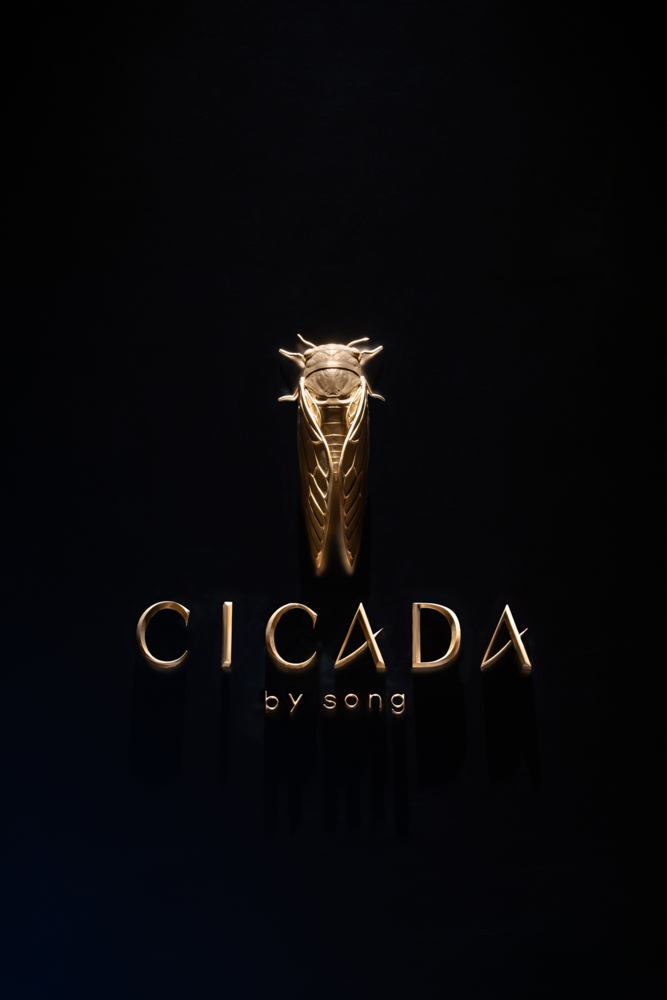 RMA 黄永才 | CICADA 宋·湘|褶皱与平滑的哲学之美