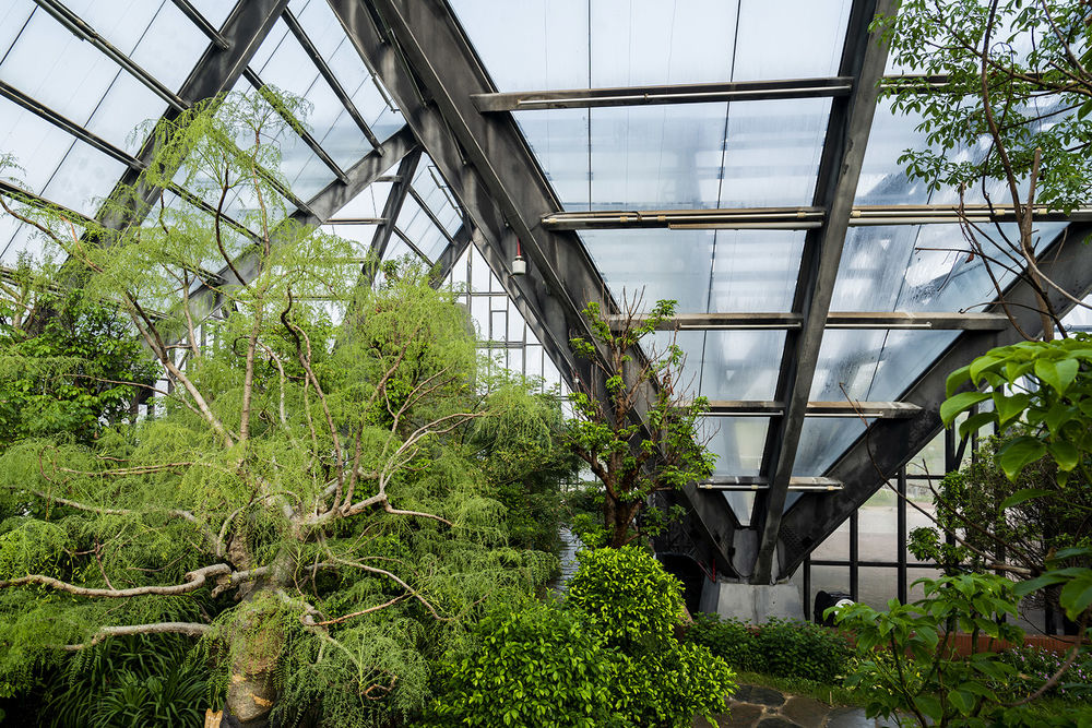 衡水植物园温室展览馆 | 融入自然的现代植物园