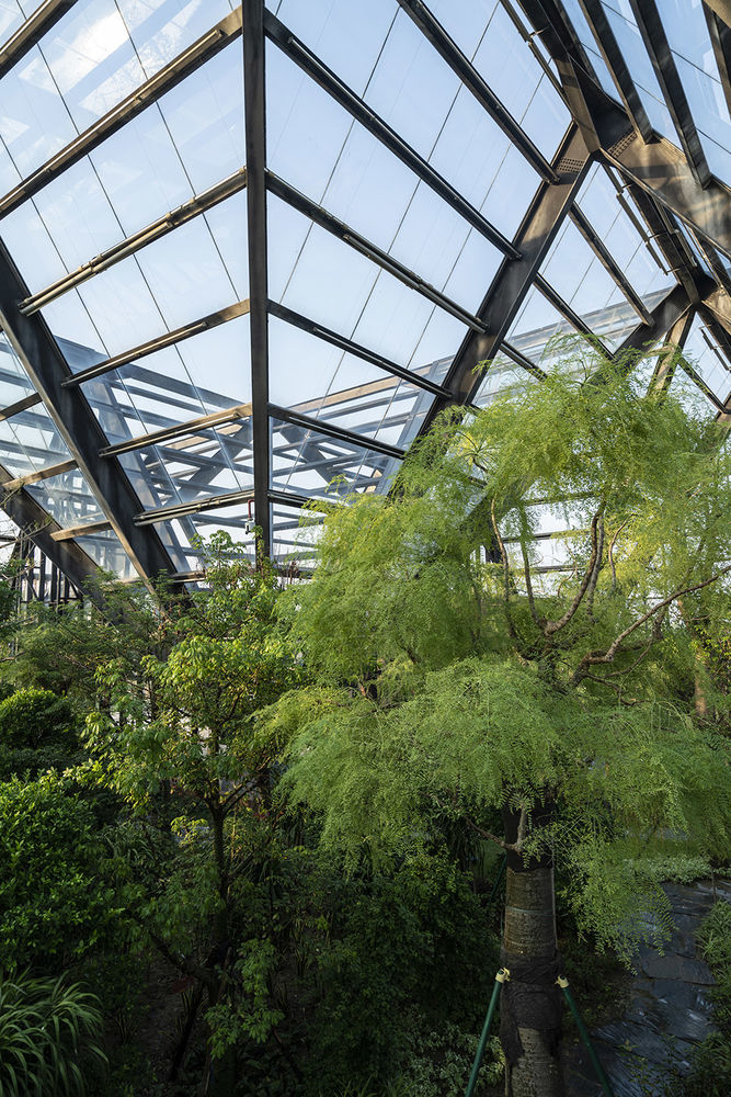 衡水植物园温室展览馆 | 融入自然的现代植物园