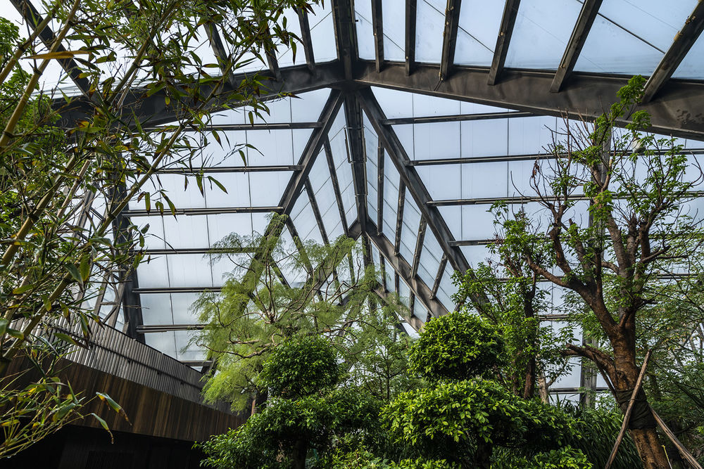 衡水植物园温室展览馆 | 融入自然的现代植物园