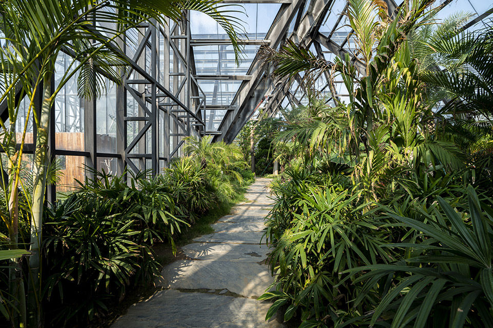 衡水植物园温室展览馆 | 融入自然的现代植物园