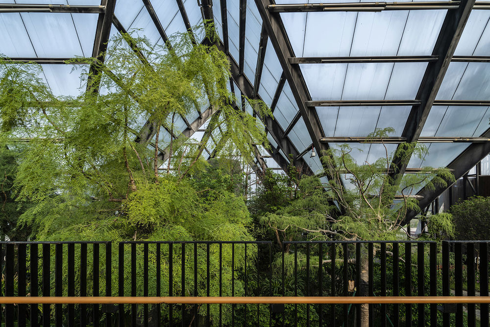 衡水植物园温室展览馆 | 融入自然的现代植物园