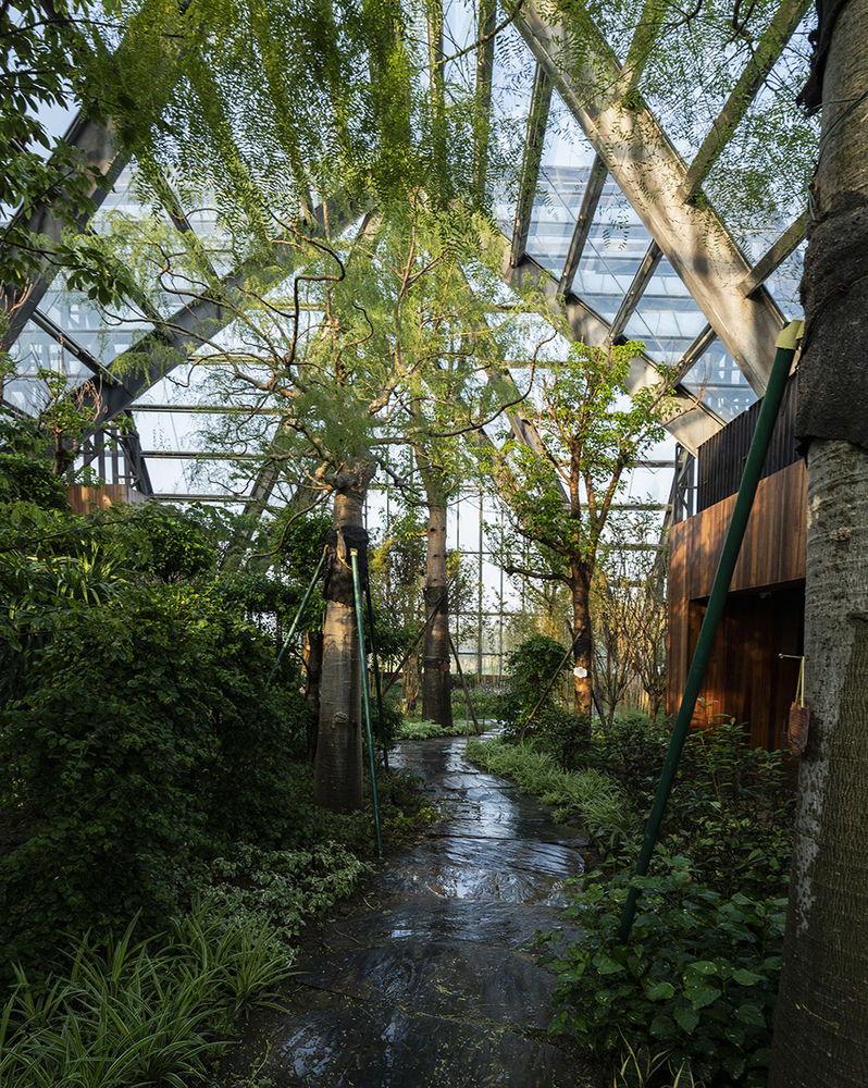 衡水植物园温室展览馆 | 融入自然的现代植物园