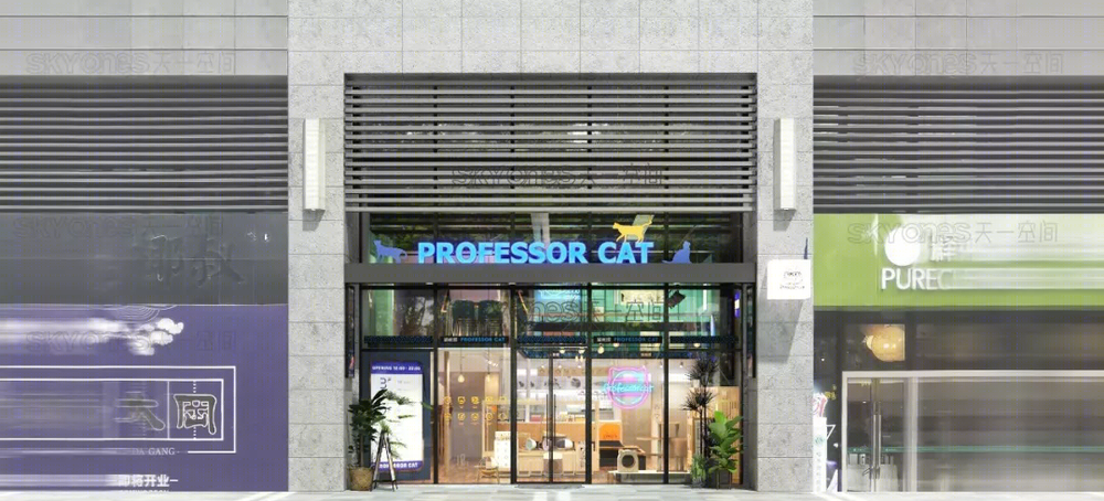 惠州猫教授复合式猫咖 | 木质元素与猫咪的温馨空间