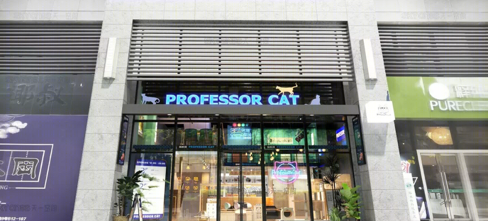 惠州猫教授复合式猫咖 | 木质元素与猫咪的温馨空间