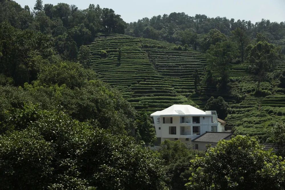 山也 HILLS | 融合自然与艺术的可居住艺术馆