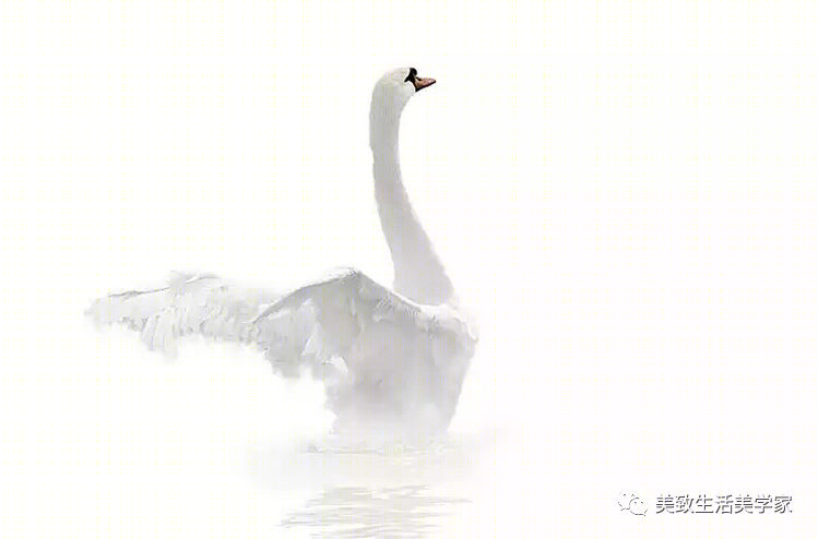 成都万科·公园传奇售楼部 | 自然生态与现代艺术的完美融合