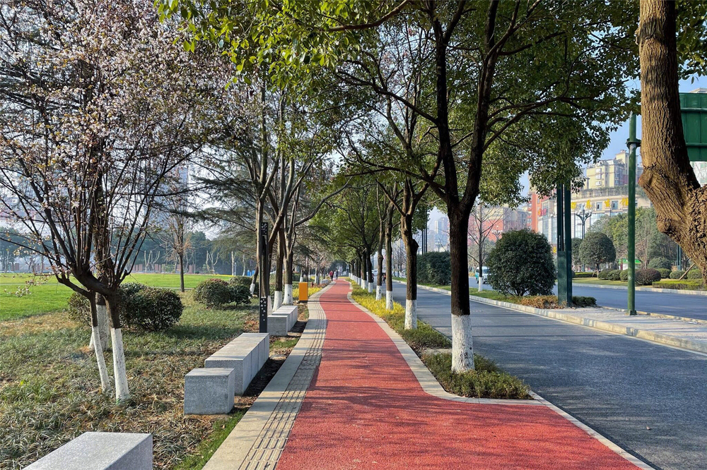 成都蜀龙大道公园 | 公园城市街道一体化设计的典范