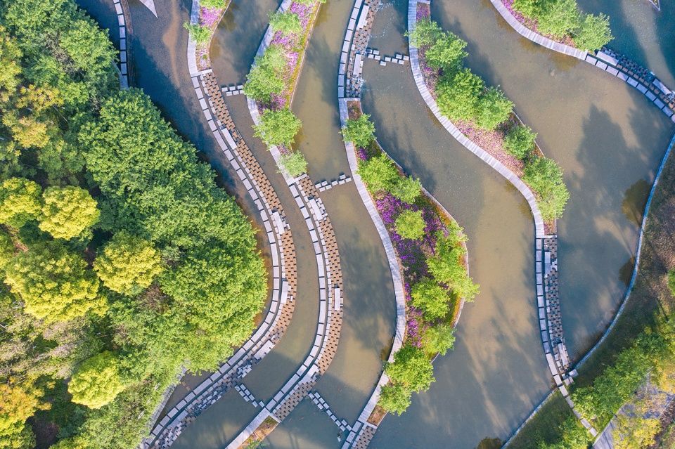 兰湖旅游度假区启动区设计 | 融合自然的生态修复景观