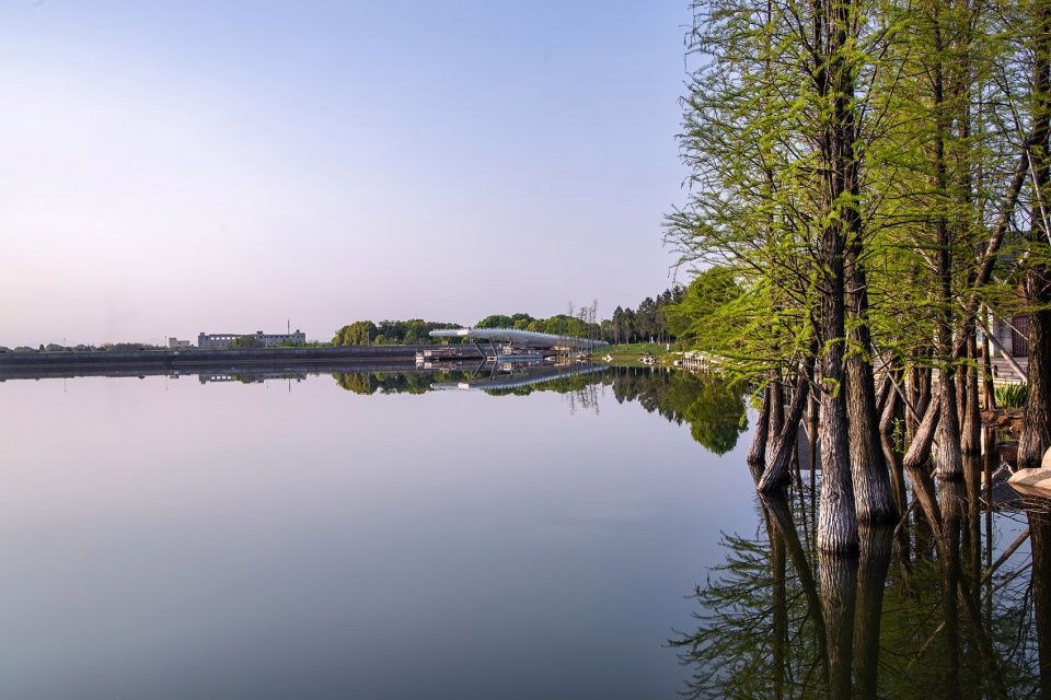 兰湖旅游度假区启动区设计 | 融合自然的生态修复景观