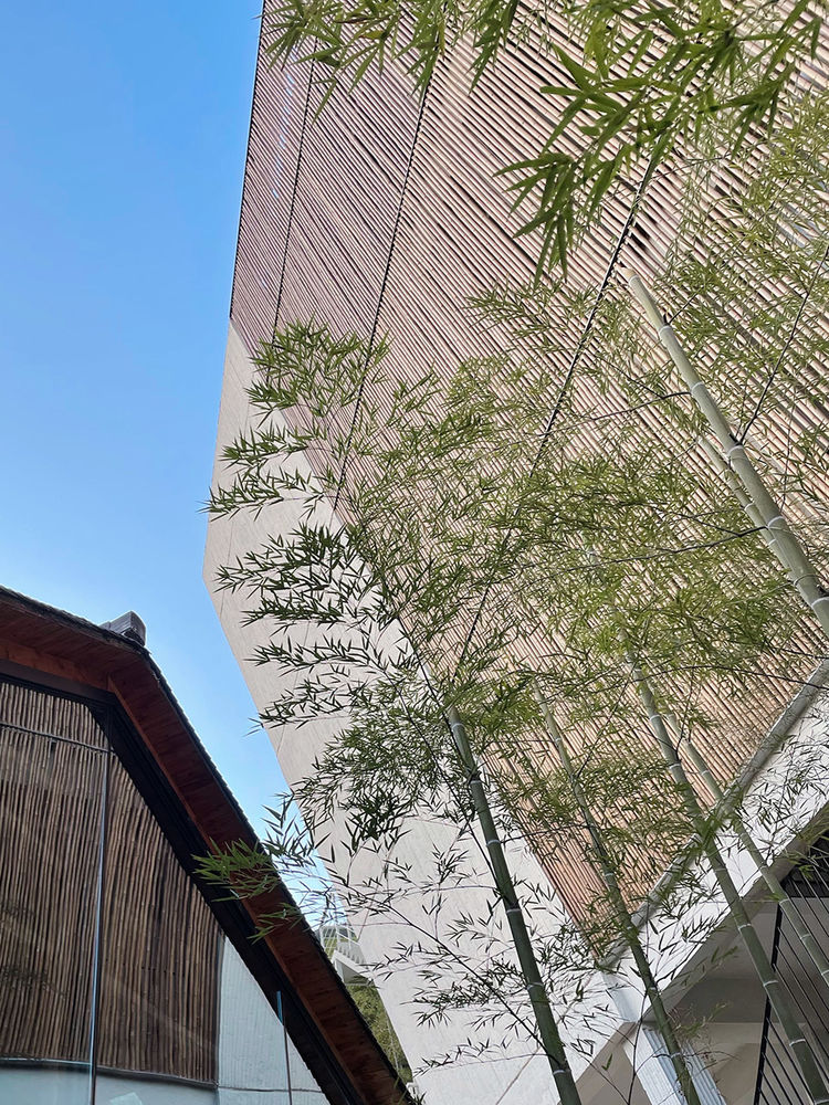 湖州宾临城·农宅民宿改造 | 一半烟火，一半自然