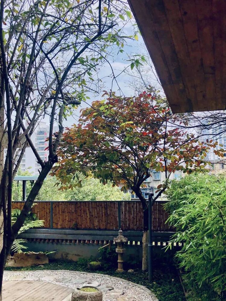 俱舍茶集III TEA SHOP