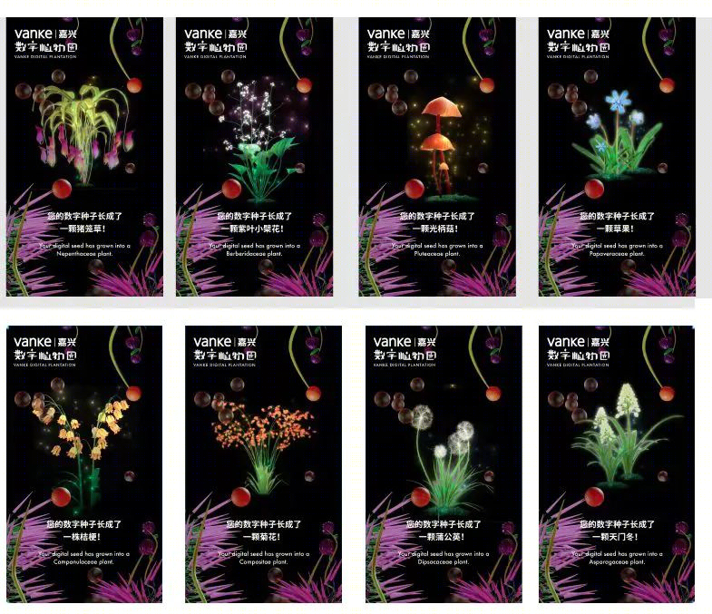 万科数字植物园 | 科技与自然的完美融合
