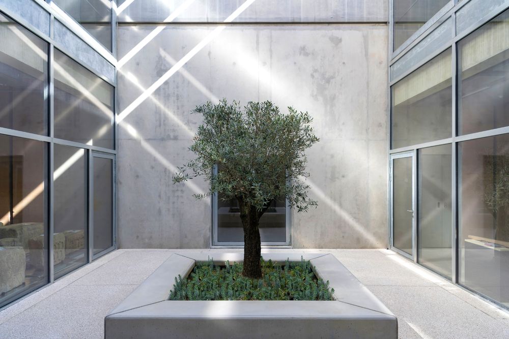 Foster + Partners 打造罗马古文物新博物馆，NarboViaMuseum