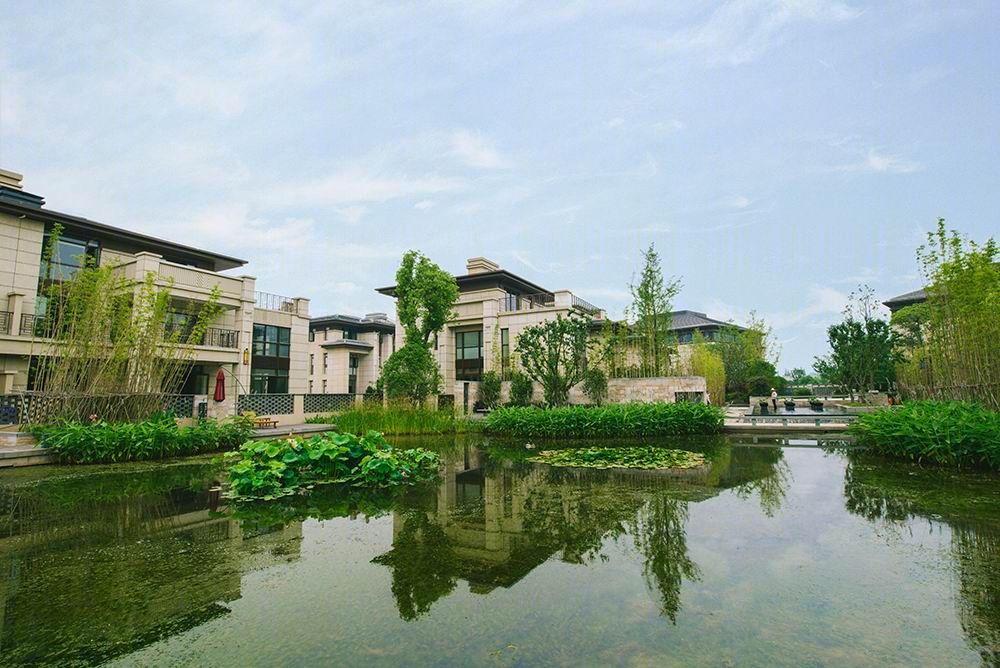 镇江中集镇江金山湖 1 号 | 现代中式水景家园