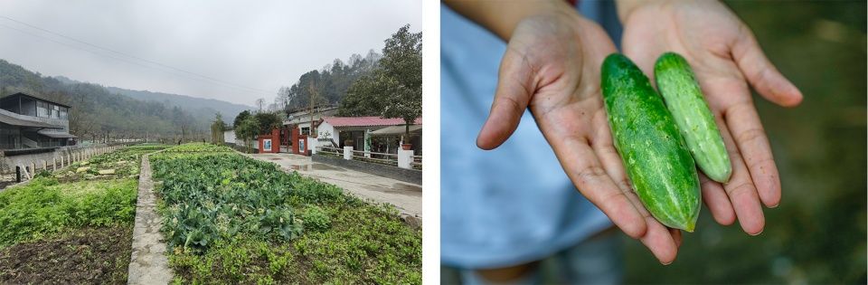小石记山宿 | 共享民宿的乡村复兴之路