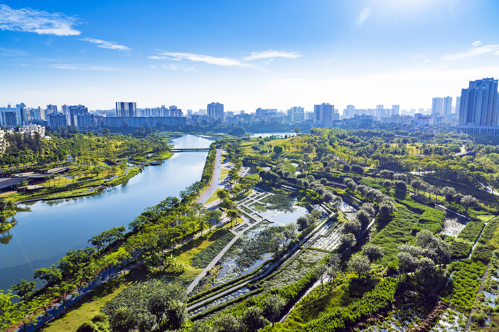 海口美舍河凤翔公园——海绵城市理念的生态景观设计