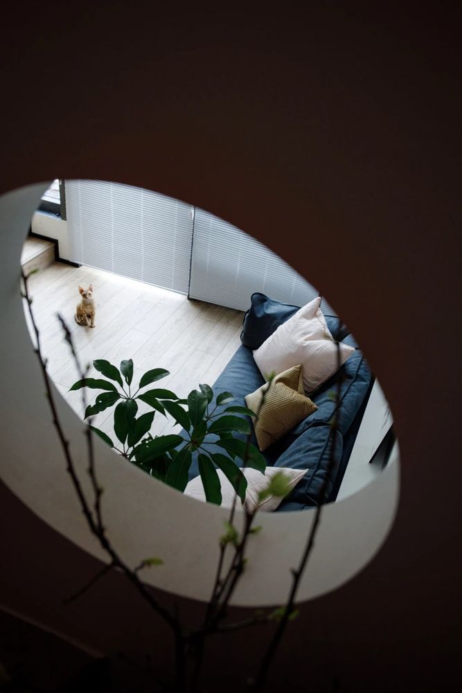 33㎡超小户型逆袭，带院别墅的创意设计
