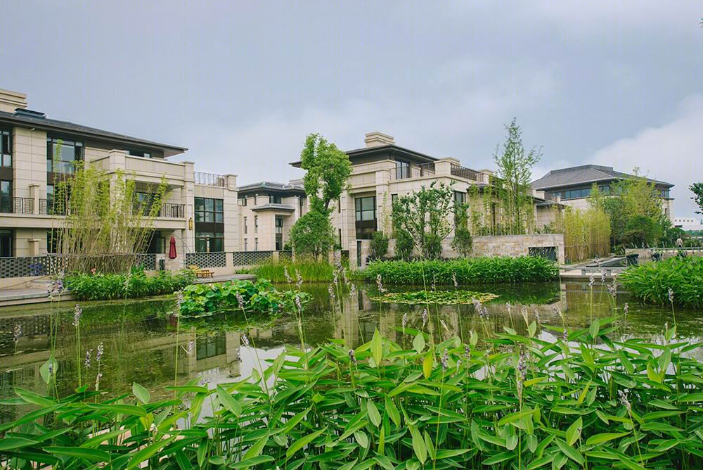 镇江中集镇江金山湖 1 号 | 现代中式水景家园