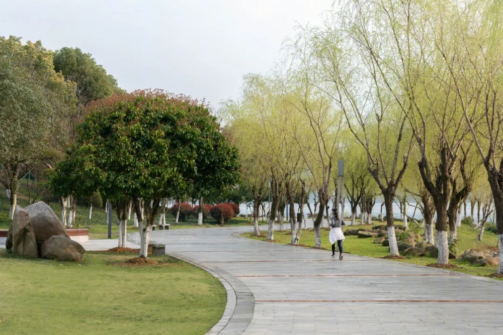 湖南岳阳赊月公园 | 融合山水与湘楚文化的生态景观设计