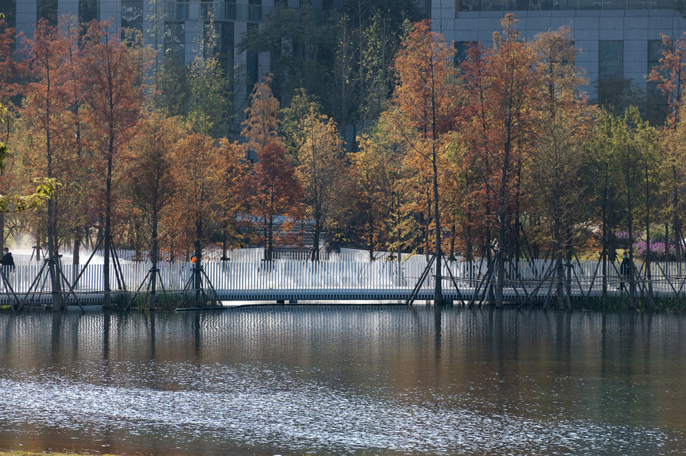 成都兴隆湖畔森林图书馆 | 水体净化，公园城市的活力展示