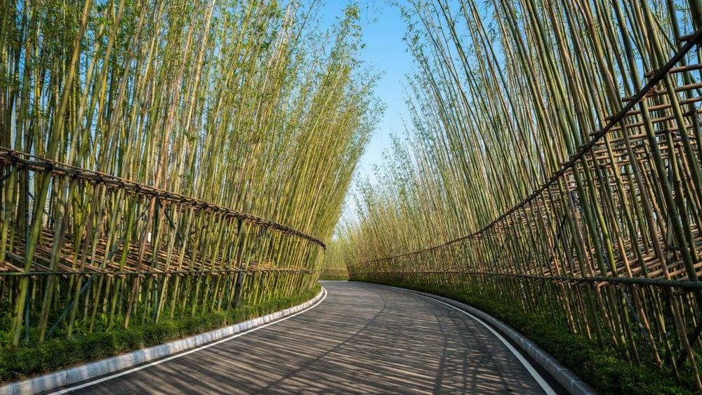 成都花间堂酒店 | 山水的流动与建筑的对话