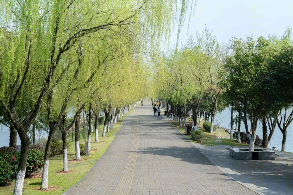 湖南岳阳赊月公园 | 融合山水与湘楚文化的生态景观设计