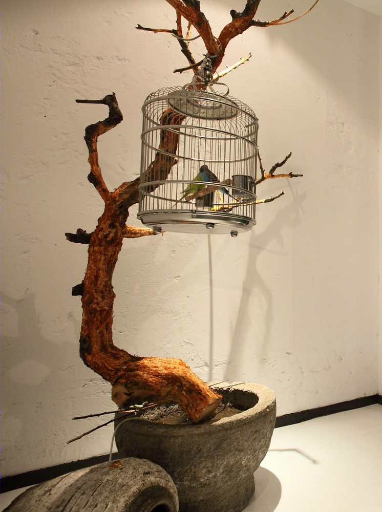 力设计工作室打造鸟语花香的生活空间