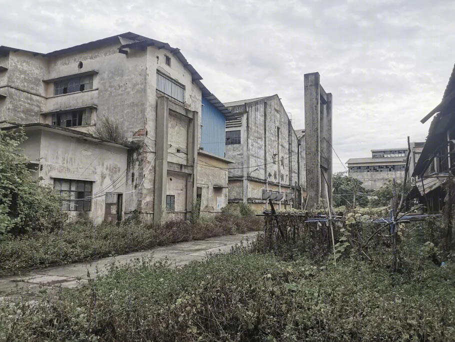 广州南沙华宇凤凰艺术岛项目 | 工业遗迹的时光重塑